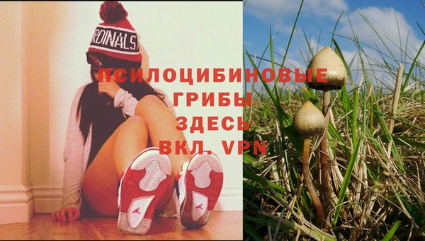 мескалин Алзамай