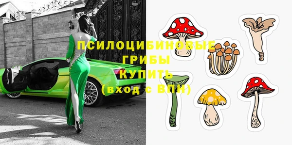 сатива Алексеевка
